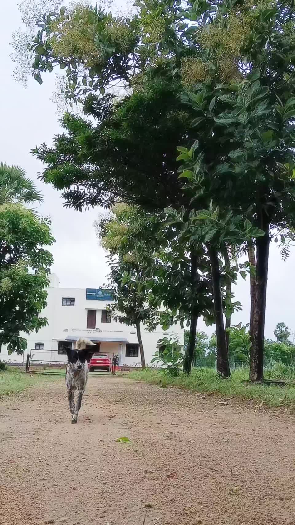 Kanakode's Campus video