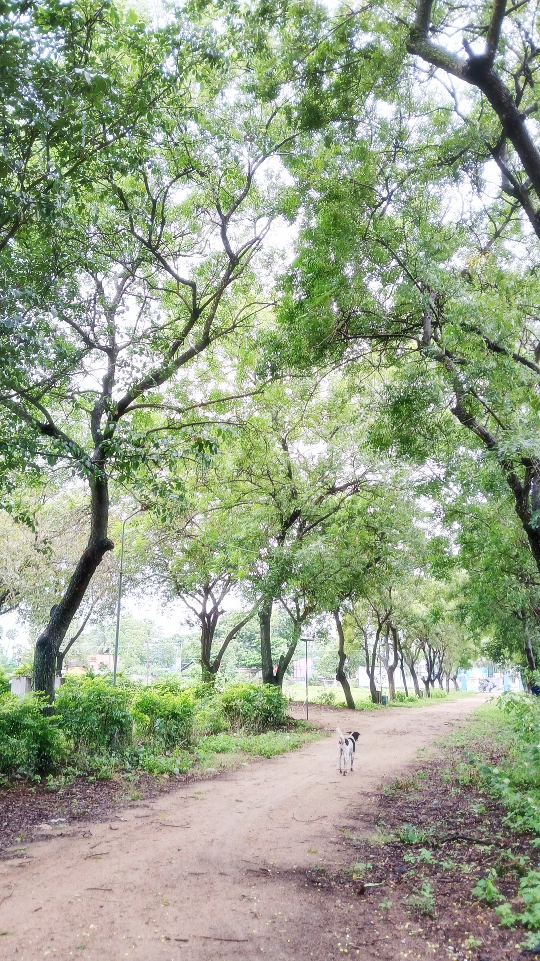 Kanakode's Campus