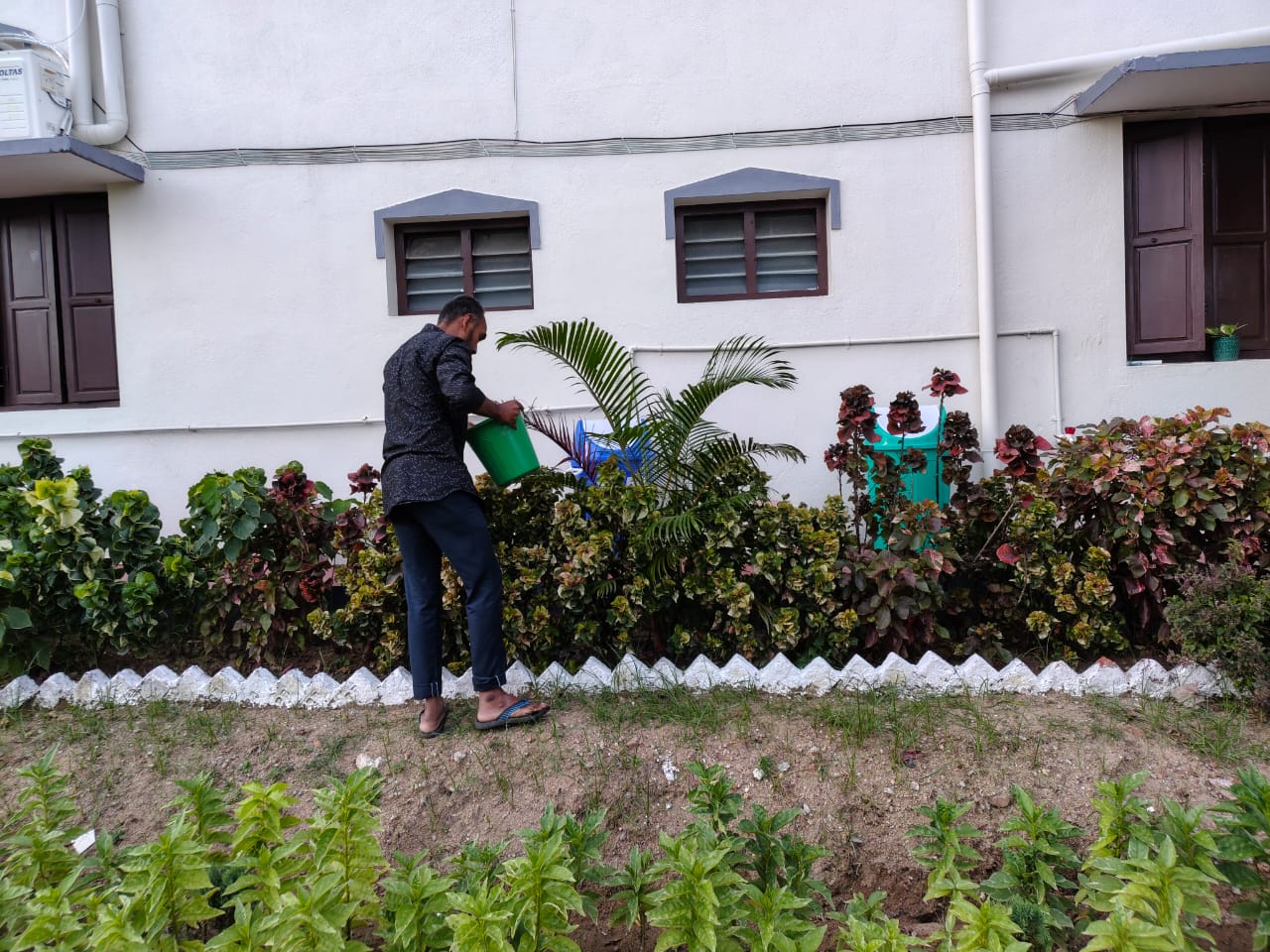Therapeutic Garden