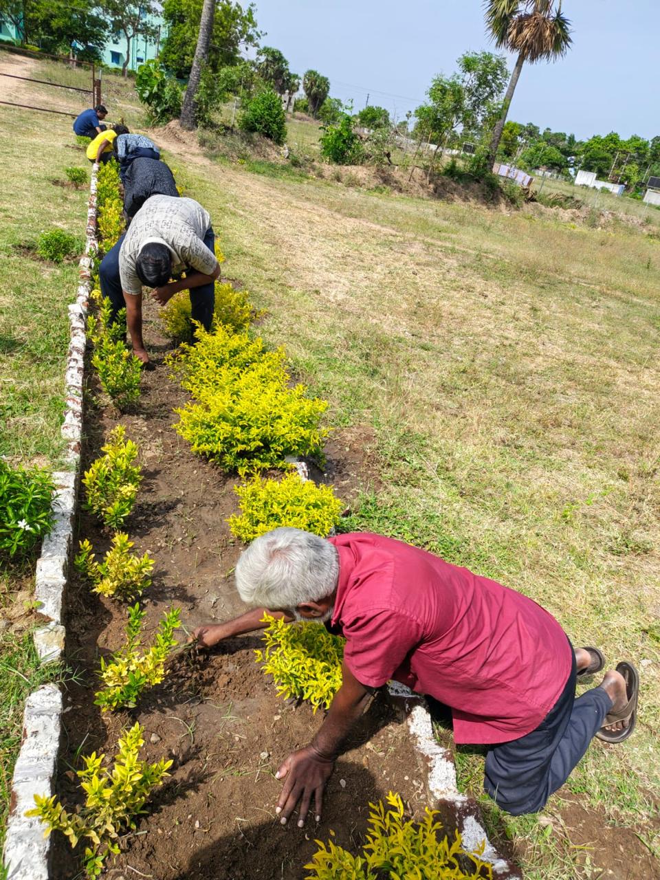 Therapeutic Garden